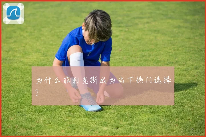 为什么菲利克斯成为当下热门选择？