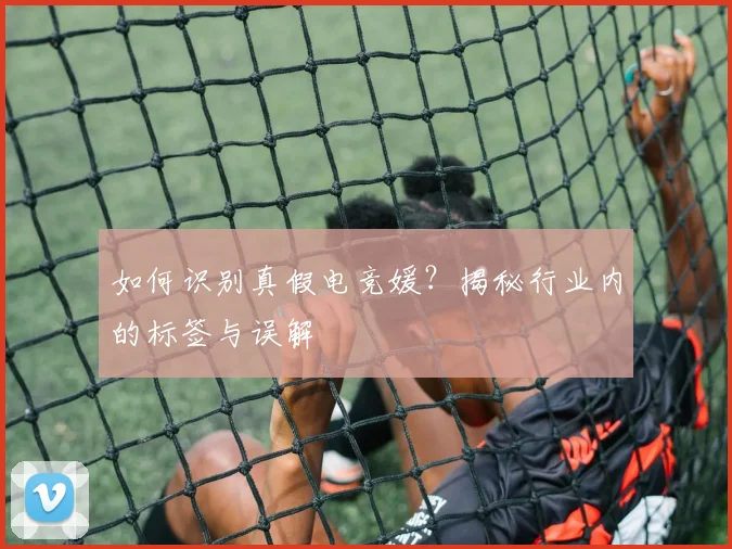 如何识别真假电竞媛?揭秘行业内的标签与误解