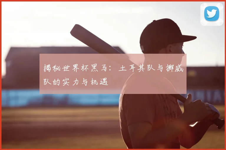 揭秘世界杯黑马：土耳其队与挪威队的实力与机遇